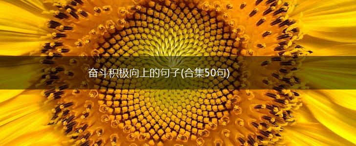 奋斗积极向上的句子(合集50句),第1张