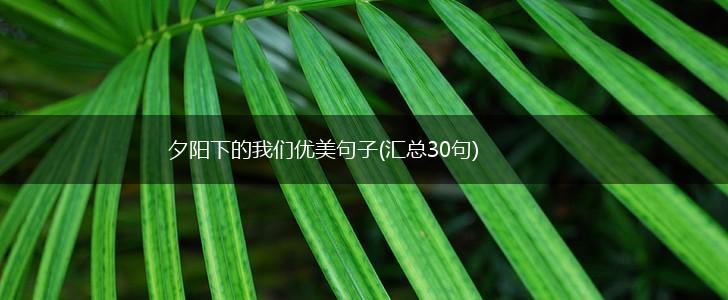 夕阳下的我们优美句子(汇总30句),第1张