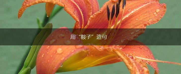 用“鞍子”造句,第1张
