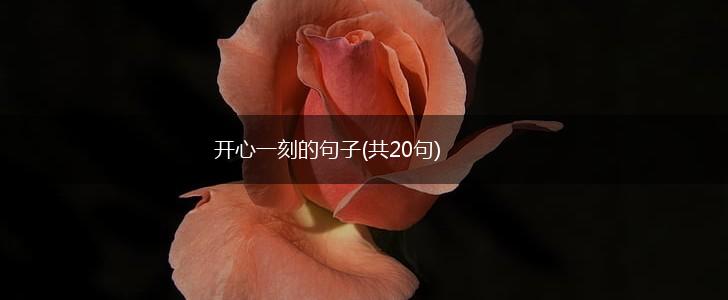 开心一刻的句子(共20句),第1张