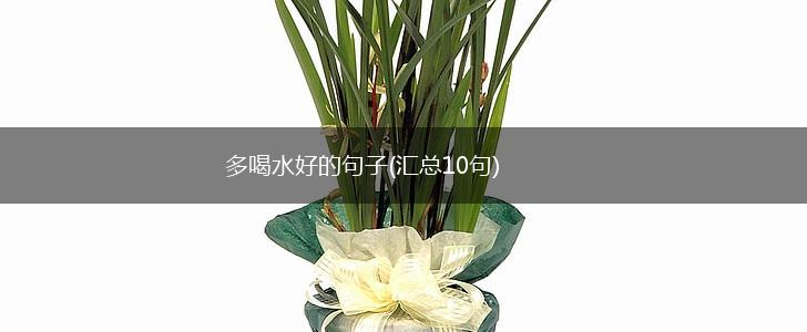 多喝水好的句子(汇总10句),第1张