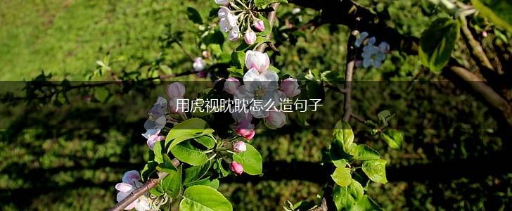 用虎视眈眈怎么造句子,第1张