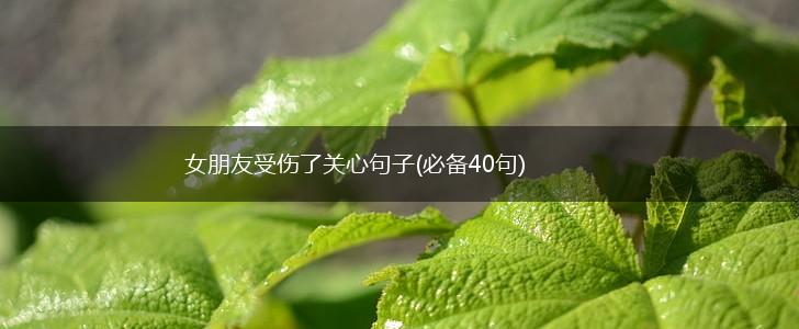 女朋友受伤了关心句子(必备40句),第1张