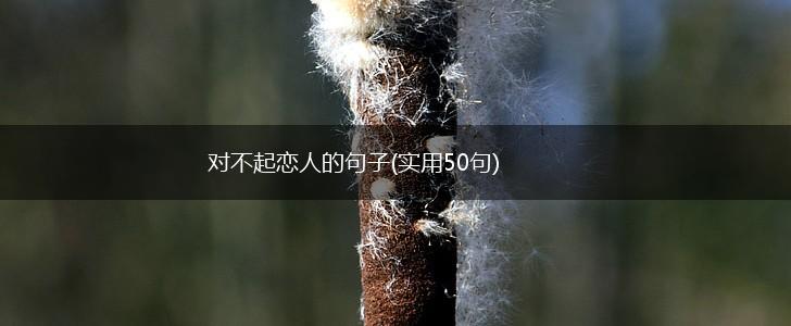 对不起恋人的句子(实用50句),第1张