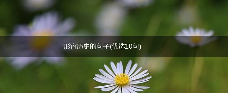 形容历史的句子(优选10句),第1张