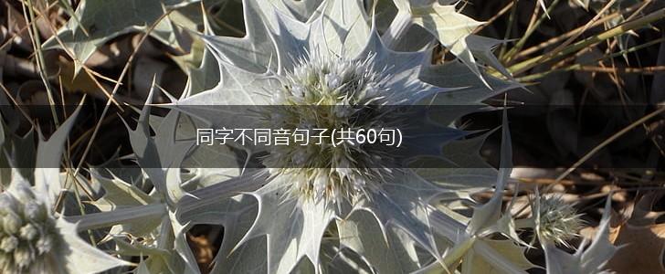 同字不同音句子(共60句),第1张