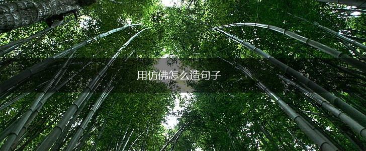 用仿佛怎么造句子,第1张 用仿佛怎么造句子,第1张