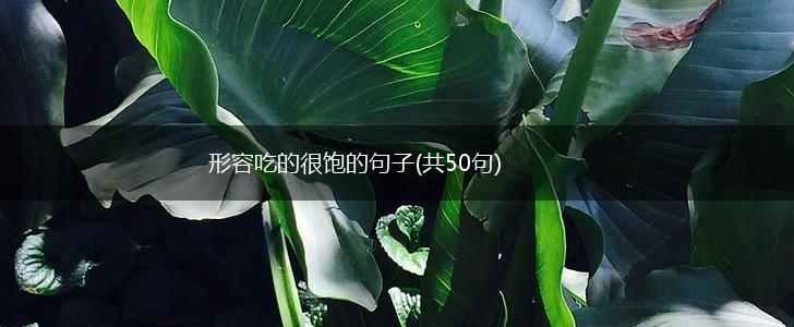 形容吃的很饱的句子(共50句),第1张