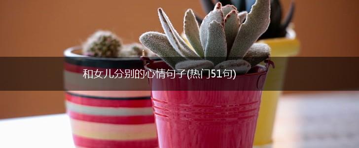 和女儿分别的心情句子(热门51句),第1张