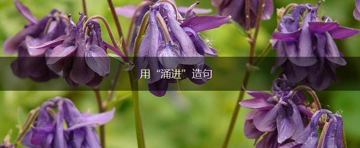 用“涌进”造句,第1张