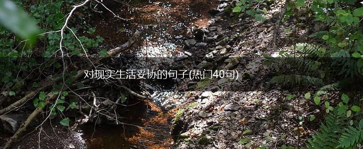 对现实生活妥协的句子(热门40句),第1张