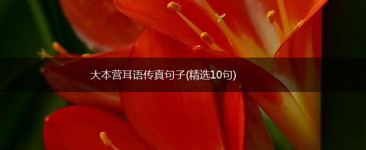 大本营耳语传真句子(精选10句),第1张