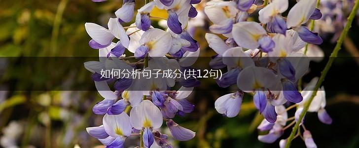 如何分析句子成分(共12句),第1张