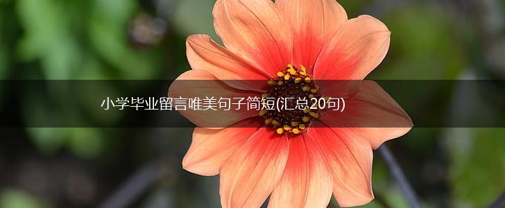 小学毕业留言唯美句子简短(汇总20句),第1张