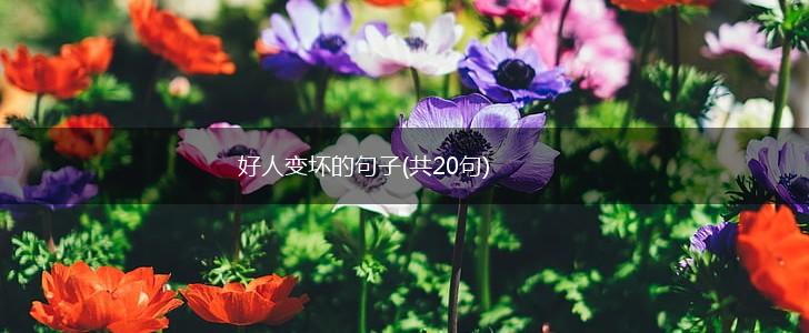好人变坏的句子(共20句),第1张