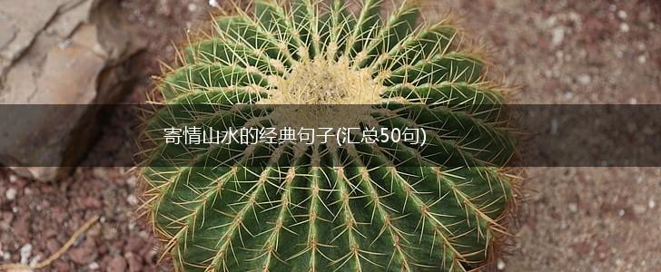 寄情山水的经典句子(汇总50句),第1张
