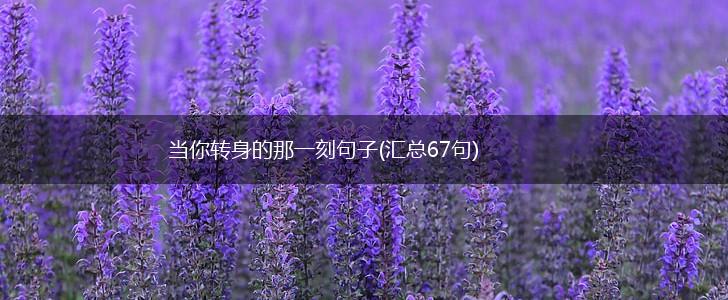 当你转身的那一刻句子(汇总67句),第1张