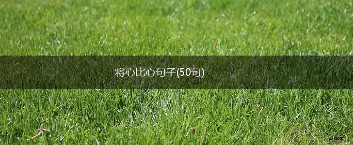 将心比心句子(50句),第1张
