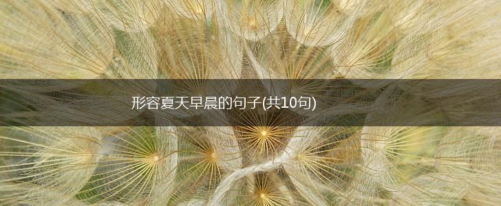 形容夏天早晨的句子(共10句),第1张