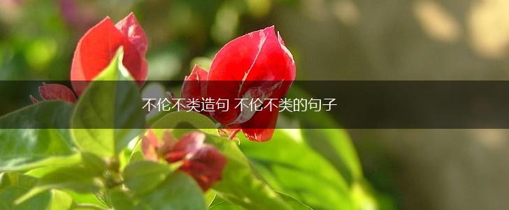 不伦不类造句 不伦不类的句子,第1张