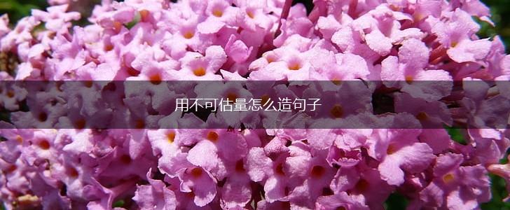 用不可估量怎么造句子,第1张