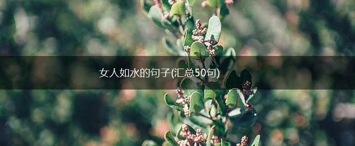 女人如水的句子(汇总50句),第1张