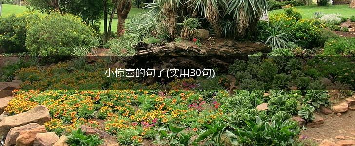 小惊喜的句子(实用30句),第1张