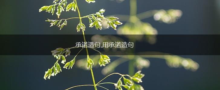 承诺造句,用承诺造句,第1张
