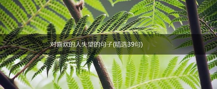 对喜欢的人失望的句子(精选39句),第1张
