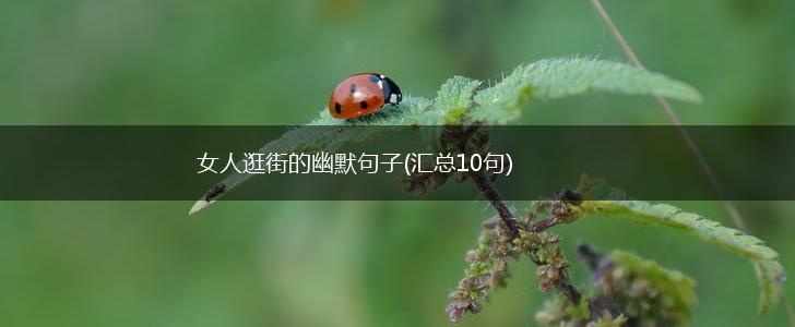 女人逛街的幽默句子(汇总10句),第1张