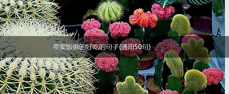 夸奖饭做的好吃的句子(通用50句),第1张