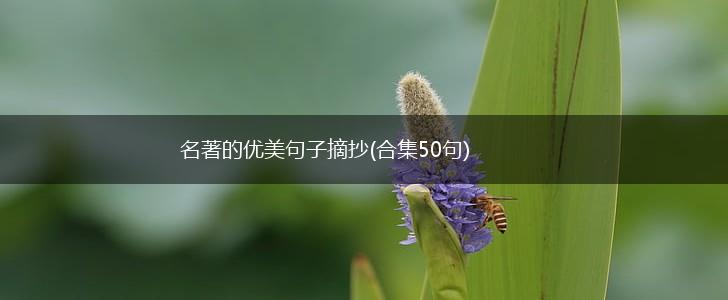 名著的优美句子摘抄(合集50句),第1张