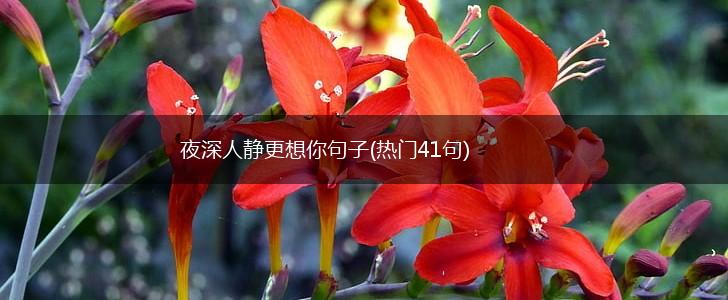 夜深人静更想你句子(热门41句),第1张