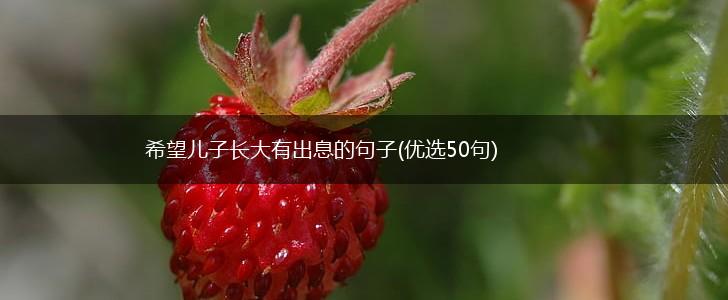 希望儿子长大有出息的句子(优选50句),第1张