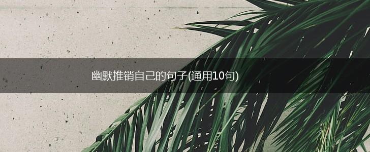 幽默推销自己的句子(通用10句),第1张