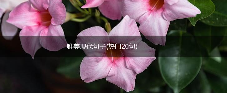 唯美现代句子(热门20句),第1张