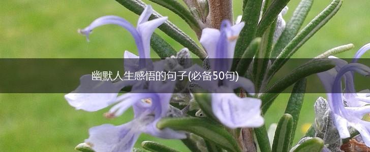 幽默人生感悟的句子(必备50句),第1张