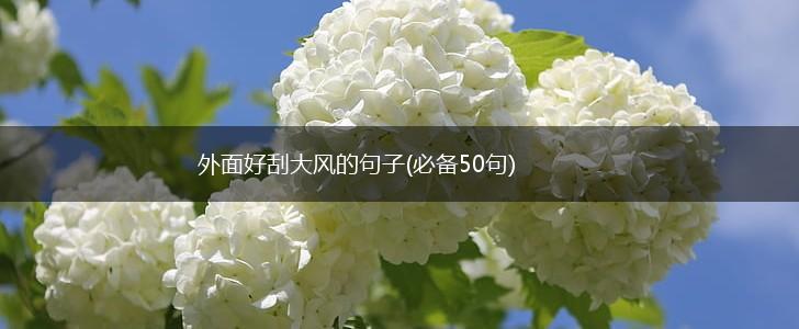 外面好刮大风的句子(必备50句),第1张