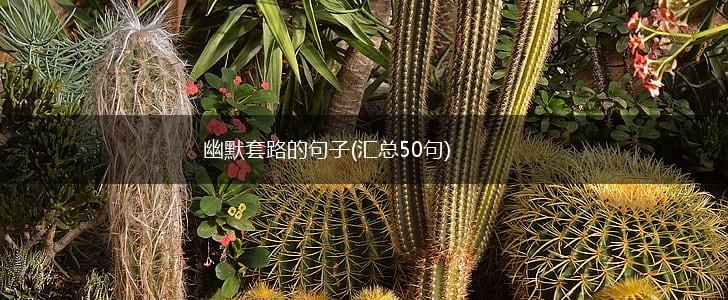 幽默套路的句子(汇总50句),第1张
