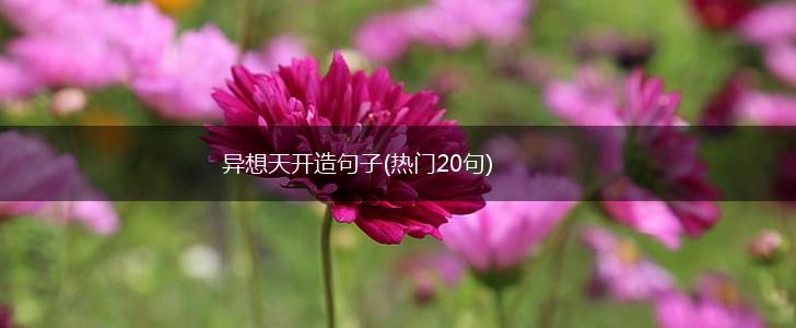 异想天开造句子(热门20句),第1张