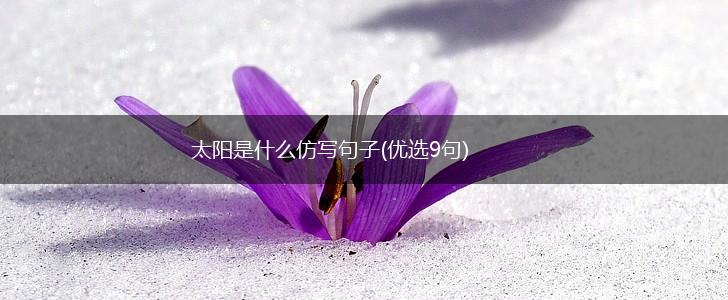 太阳是什么仿写句子(优选9句),第1张