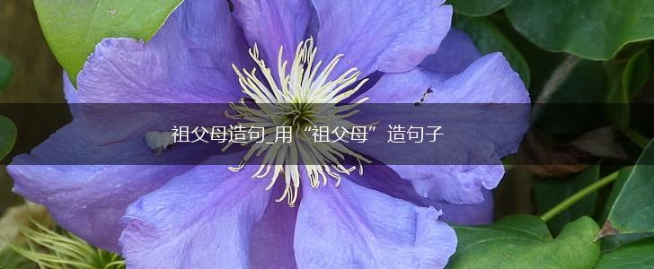 祖父母造句_用“祖父母”造句子,第1张