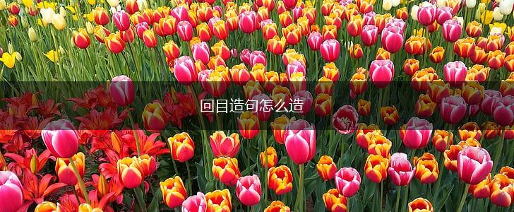 回目造句怎么造,第1张 回目造句怎么造,第1张