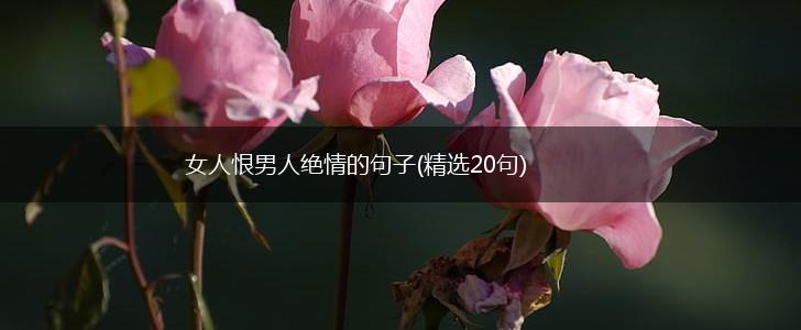 女人恨男人绝情的句子(精选20句),第1张