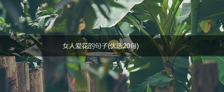 女人爱花的句子(优选20句),第1张