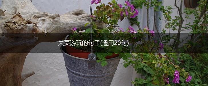 夫妻游玩的句子(通用20句),第1张