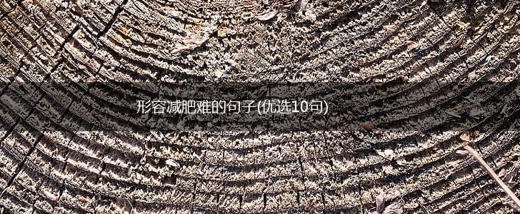 形容减肥难的句子(优选10句),第1张