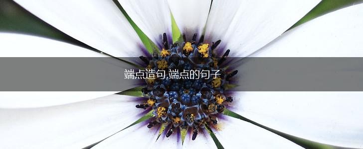 端点造句,端点的句子,第1张 端点造句,端点的句子,第1张