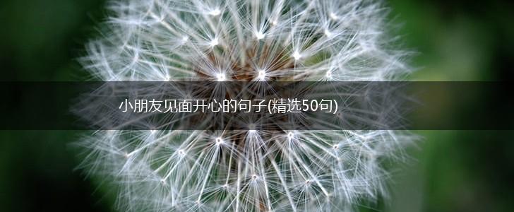 小朋友见面开心的句子(精选50句),第1张