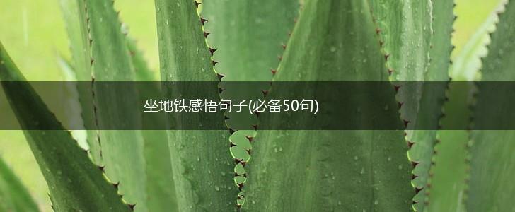 坐地铁感悟句子(必备50句),第1张